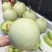 玉菇甜瓜海南玉菇甜瓜海量货源基地直发欢迎来电咨询