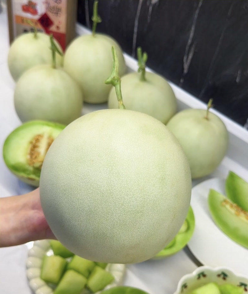 玉菇甜瓜海南玉菇甜瓜海量货源基地直发欢迎来电咨询