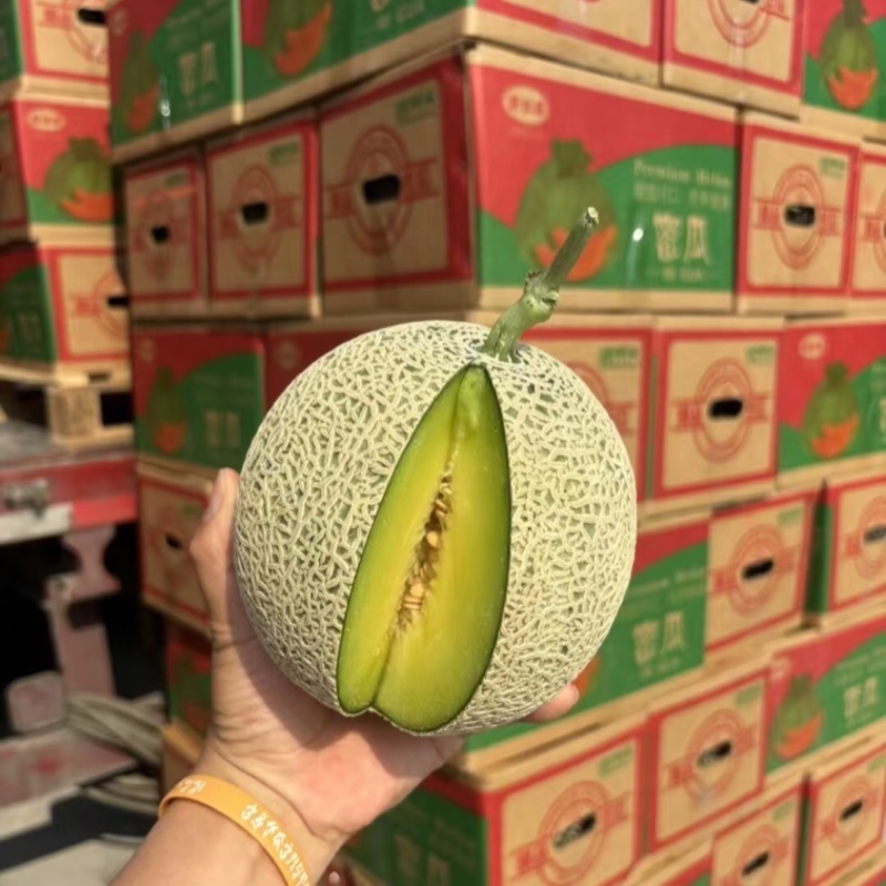 精品网纹蜜瓜网纹瓜糖度高口感脆可对接各大电商平台