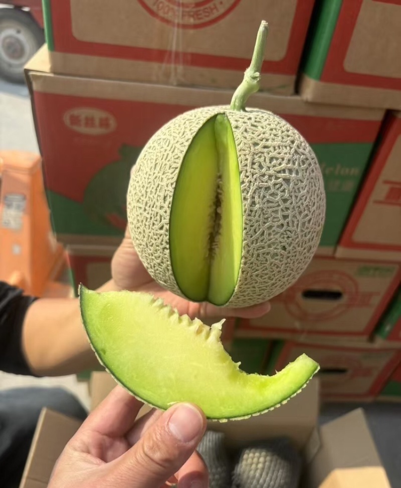 精品网纹蜜瓜网纹瓜糖度高口感脆可对接各大电商平台
