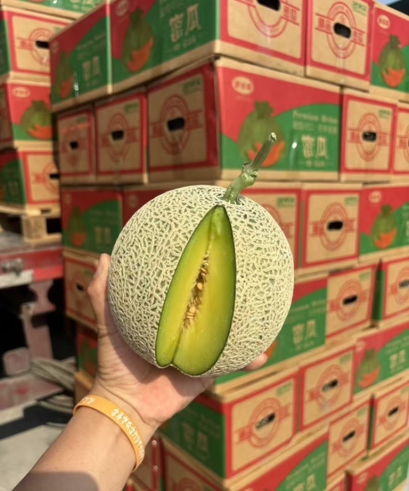 精品网纹蜜瓜网纹瓜糖度高口感脆可对接各大电商平台