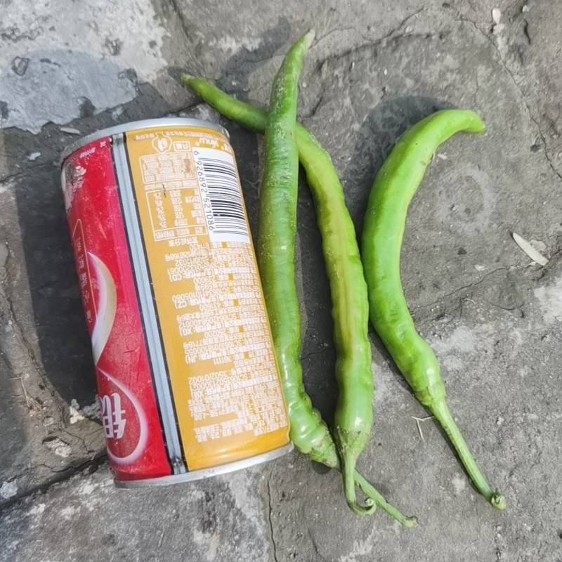 杭辣椒大量有货，羊角红辣椒，酱菜厂青辣椒