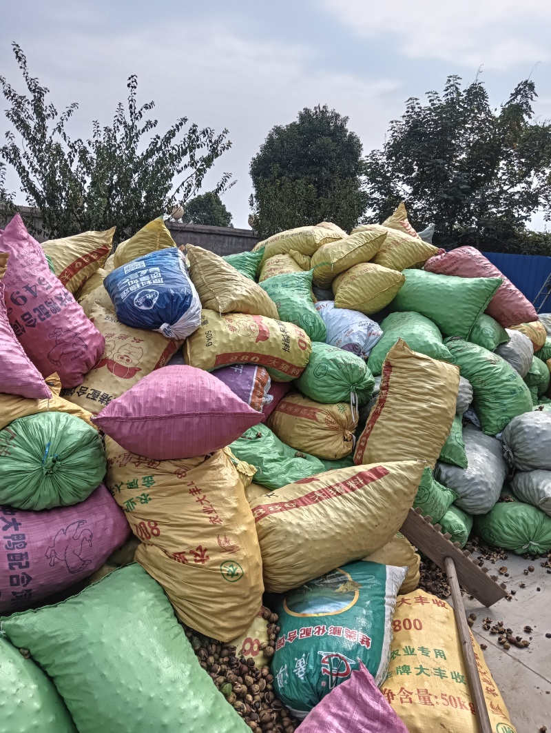 土榨高山小籽茶油产地直发量大从优欢迎实地考察