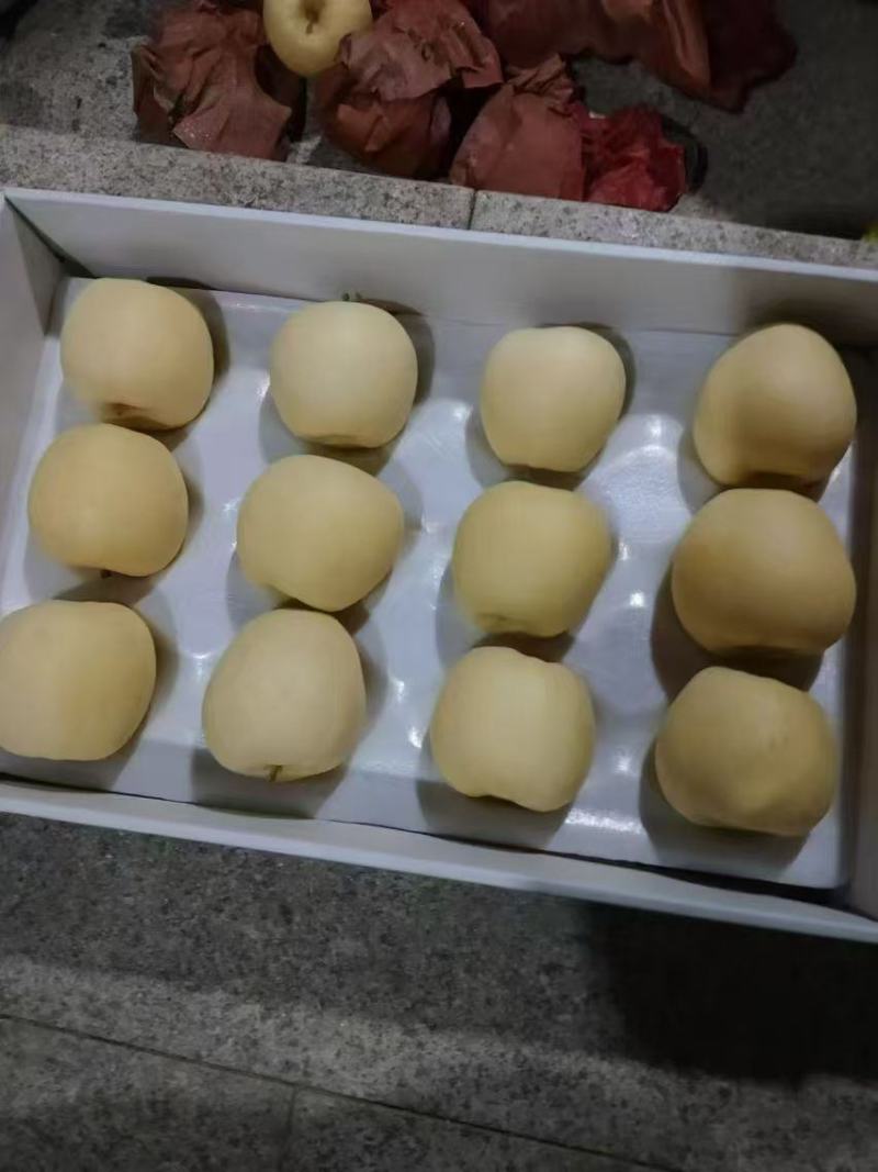 山东梁山维纳斯苹果***********