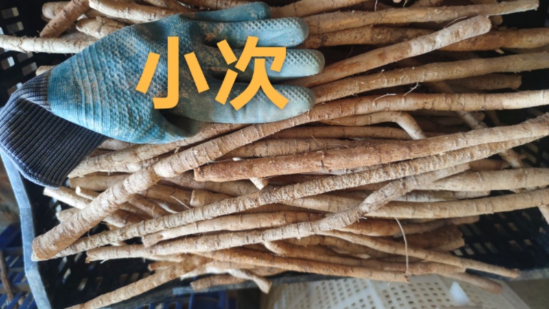 牛大力鲜货精选小次
