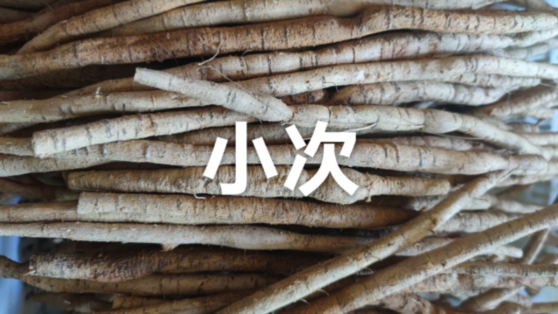 牛大力鲜货精选小次