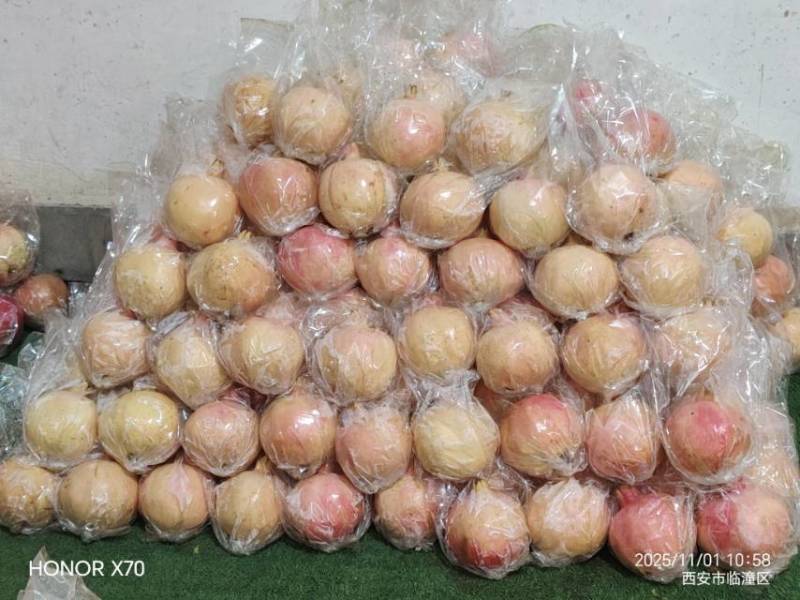 临潼石榴收官倒计时！自家种的净皮甜石榴清仓甩卖！