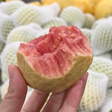 红心芭乐➕奶油芭乐，草莓芭乐黄金奶油芭乐【一件代发】