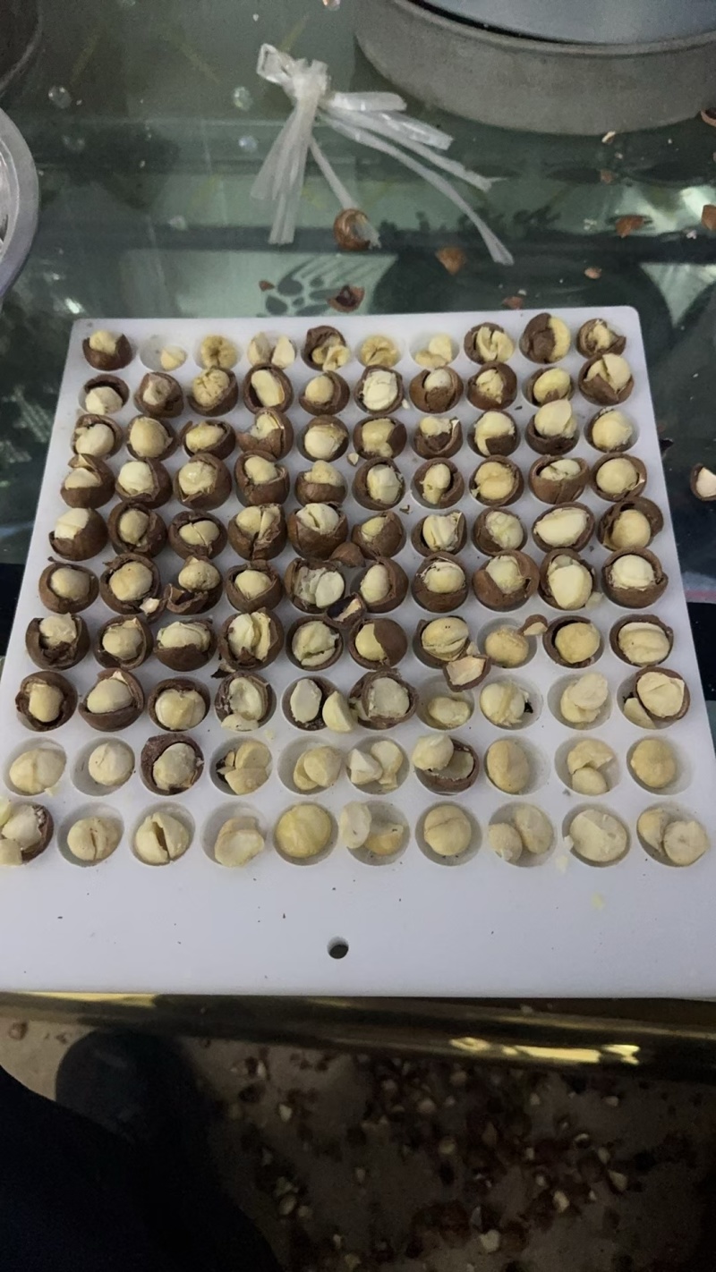夏威夷果《新货现做》商超货，电商货大量供应，欢迎来电洽谈