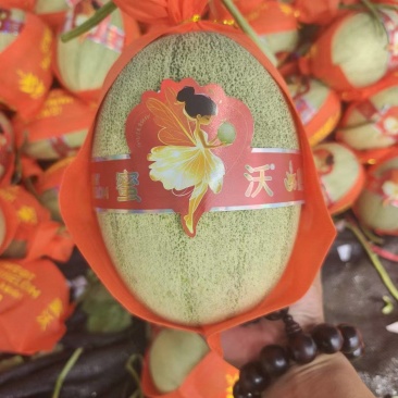 海南小蜜25