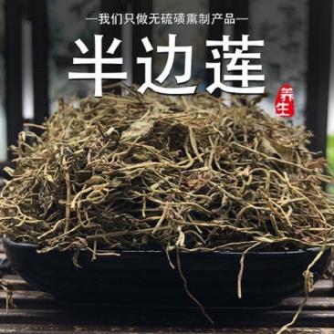 半边莲半边莲野生干货半边连半边菊中药材半边花细米草中药材