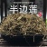 半边莲半边莲野生干货半边连半边菊中药材半边花细米草中药材