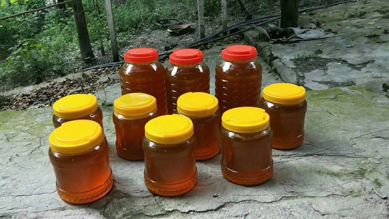 阿坝州茂县自然保护区农家百花蜜，土蜂蜜，一年只取一次蜜