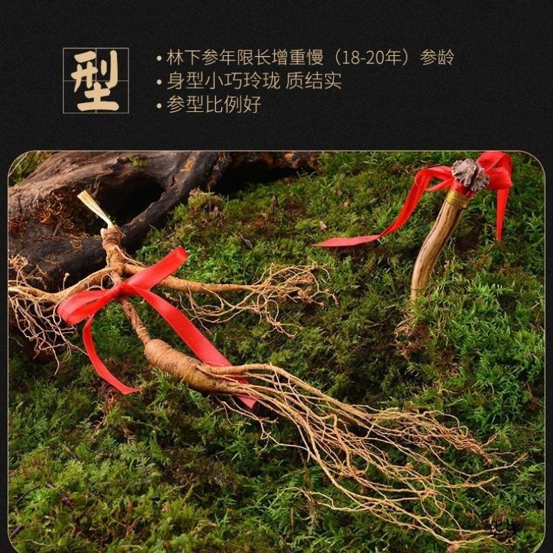 新鲜东北长白山林下野山参林下神吉林新鲜野山参
