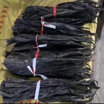 福建日晒无沙干海带头厚实大叶厂地直销