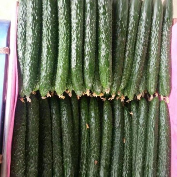 鲜花带刺