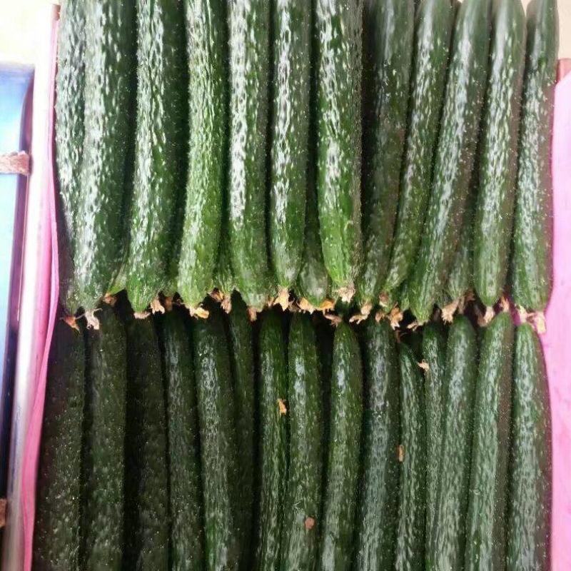 鲜花带刺