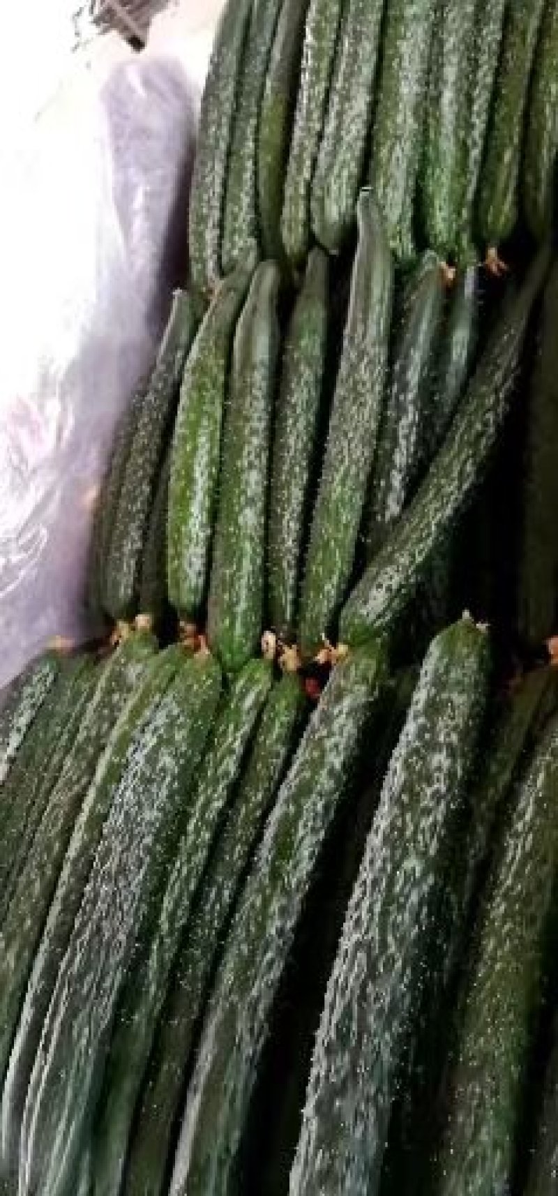 鲜花带刺