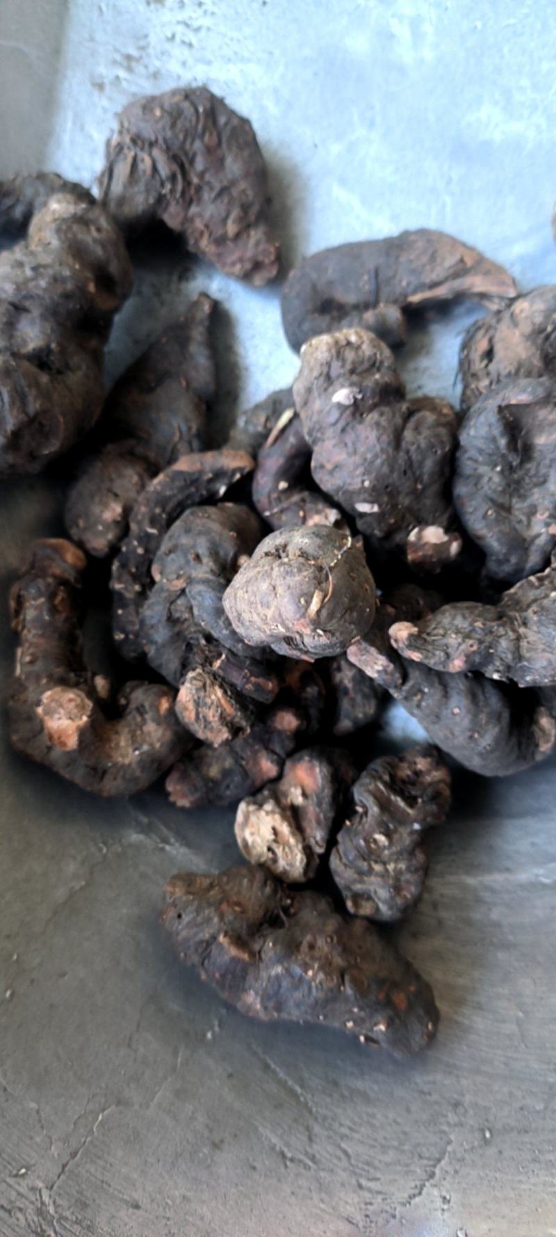 山东紫参，选货高含量，通货价格便宜，欢迎药厂饮片厂选购