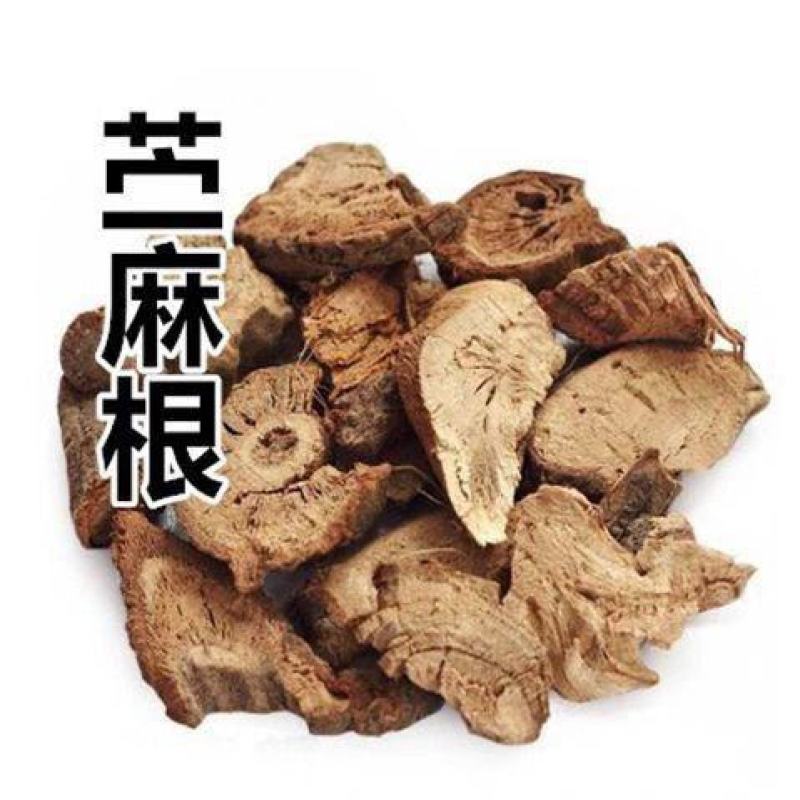 苎麻根