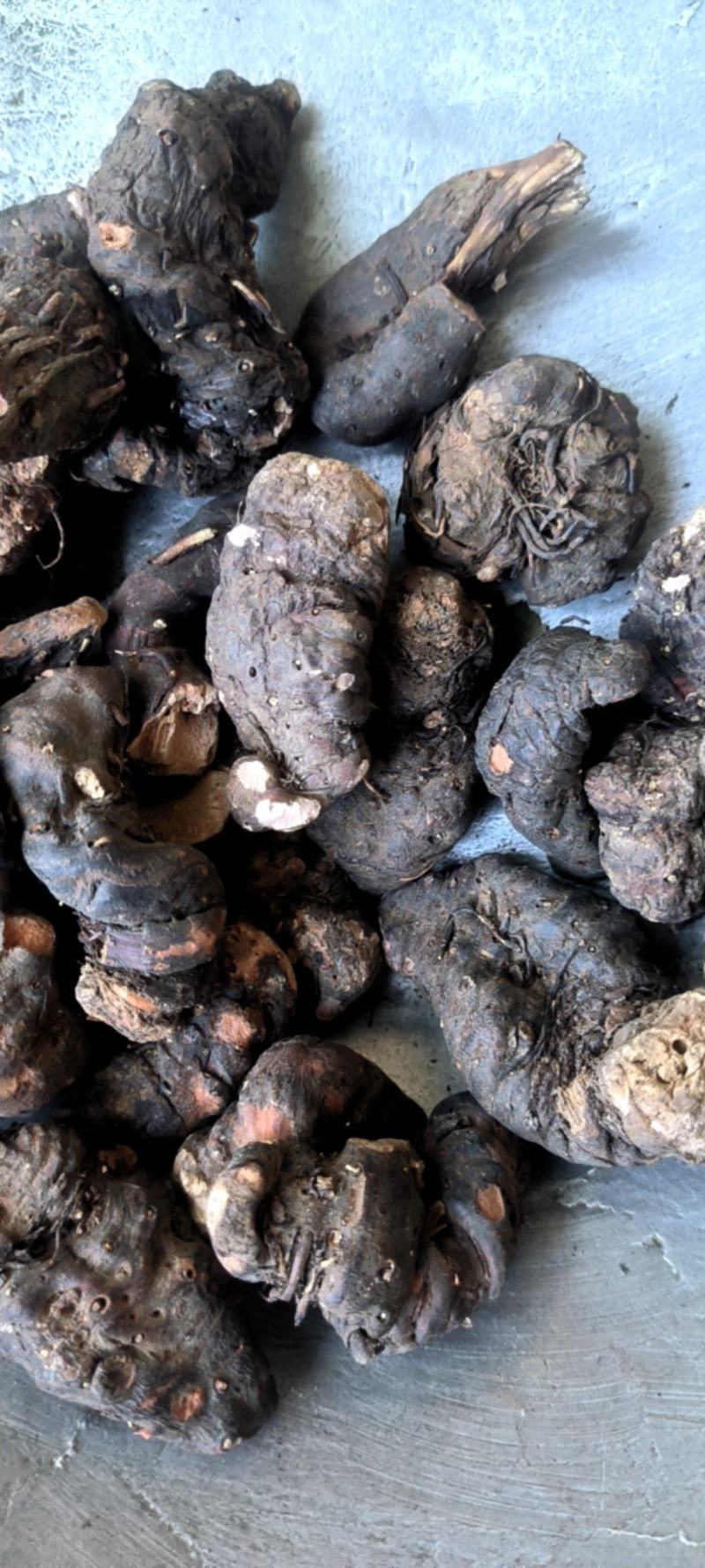 山东紫参，选货高含量，通货价格便宜，欢迎药厂饮片厂选购