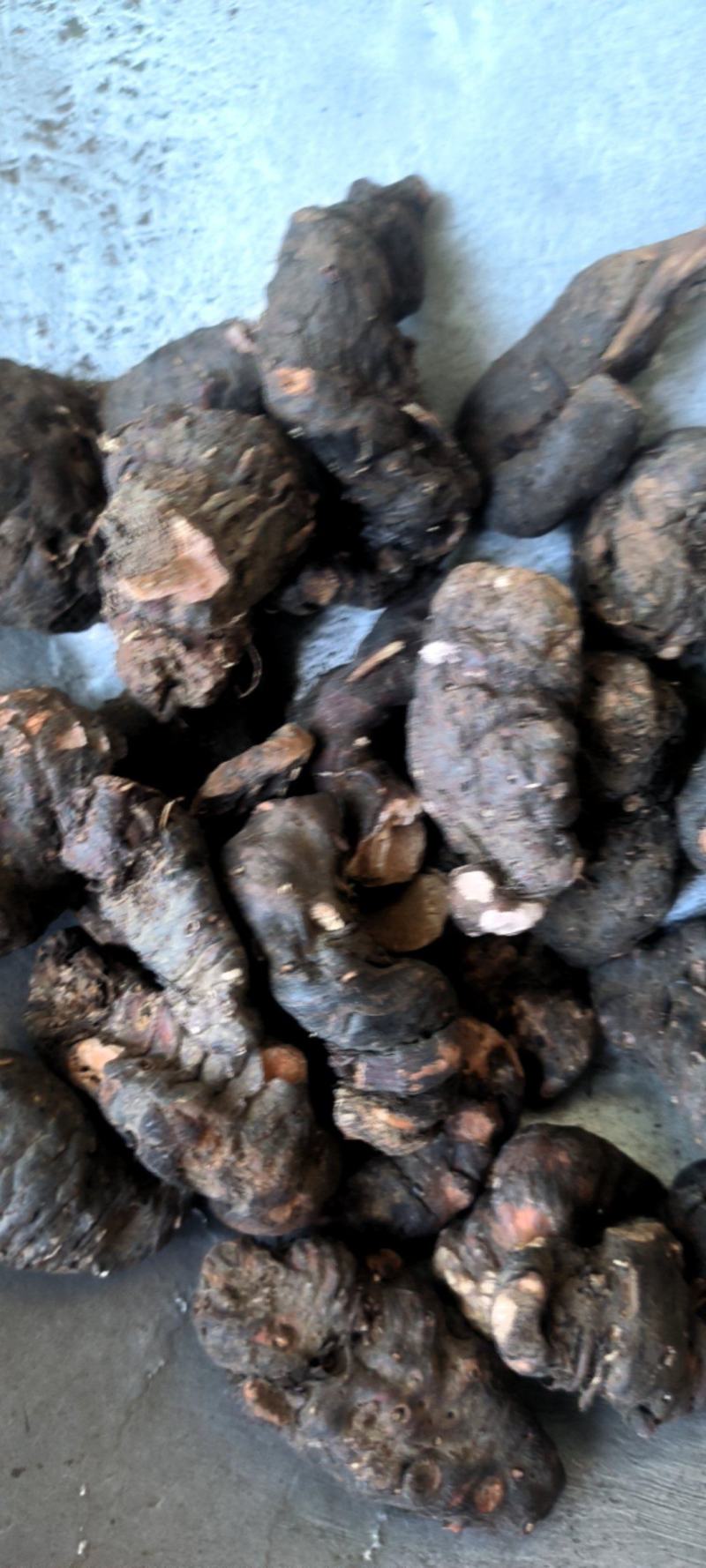 山东紫参，选货高含量，通货价格便宜，欢迎药厂饮片厂选购