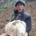 兰州百合干兰州产地直发规格齐全欢迎咨询下单