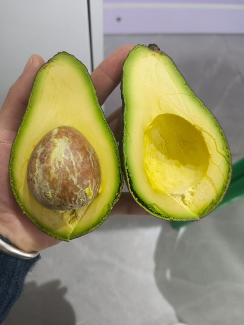 云南哈斯牛油果