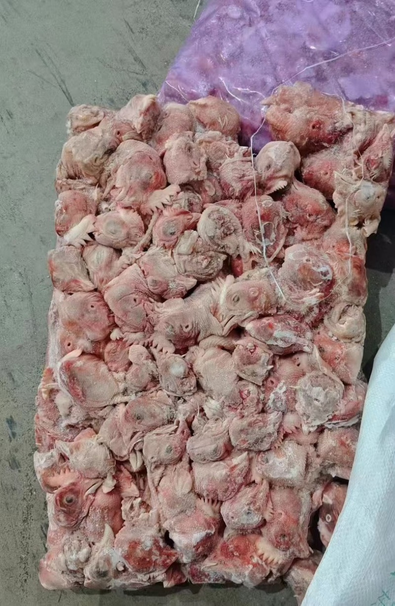 肉食鸡鸡头新货1550一吨工厂直发5吨发货