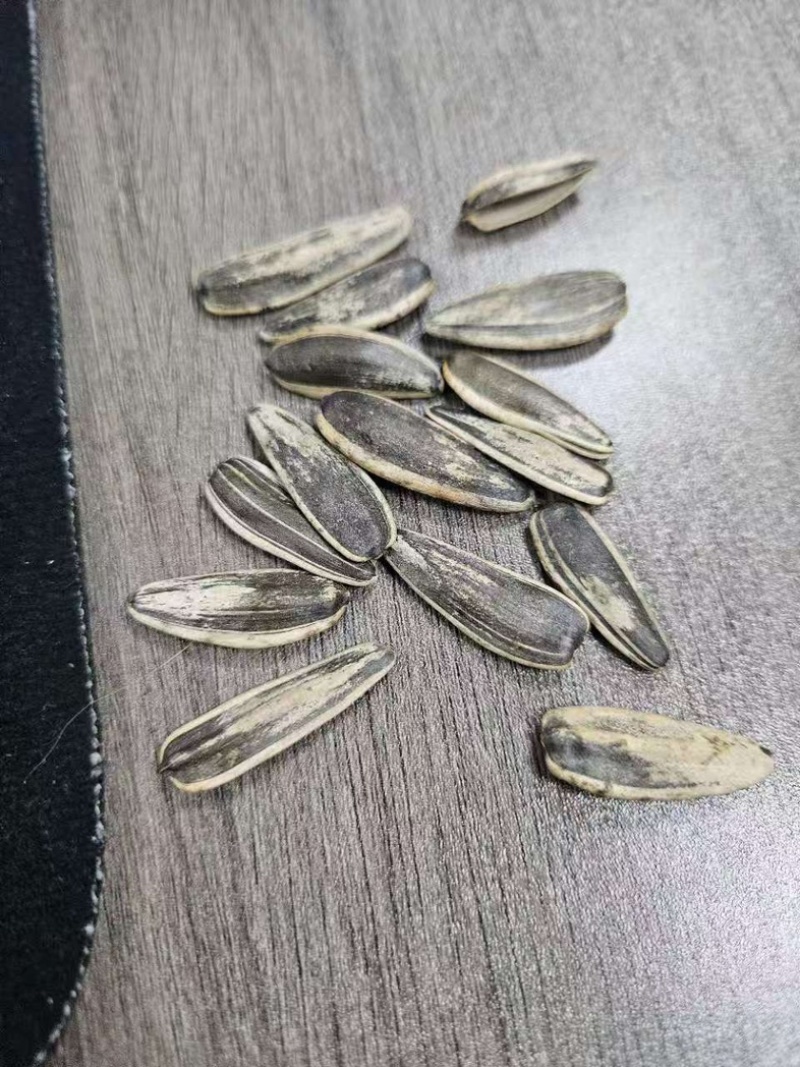 葵花籽有货可以批发