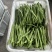 四川精品扁豆大量有货价格优美