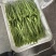 四川精品扁豆大量有货价格优美