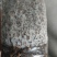 羊肚菌菌种山东基地直发货源充足保质保量可视频看货