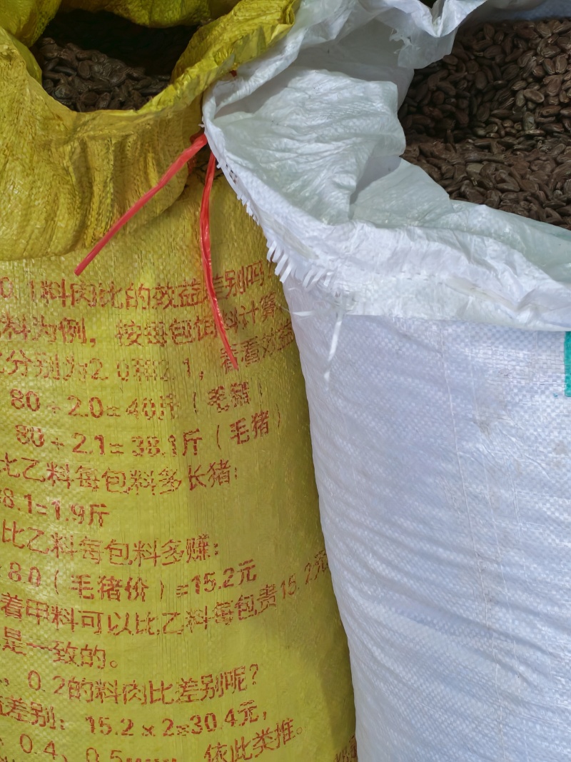 湘西大颗粒吊瓜子