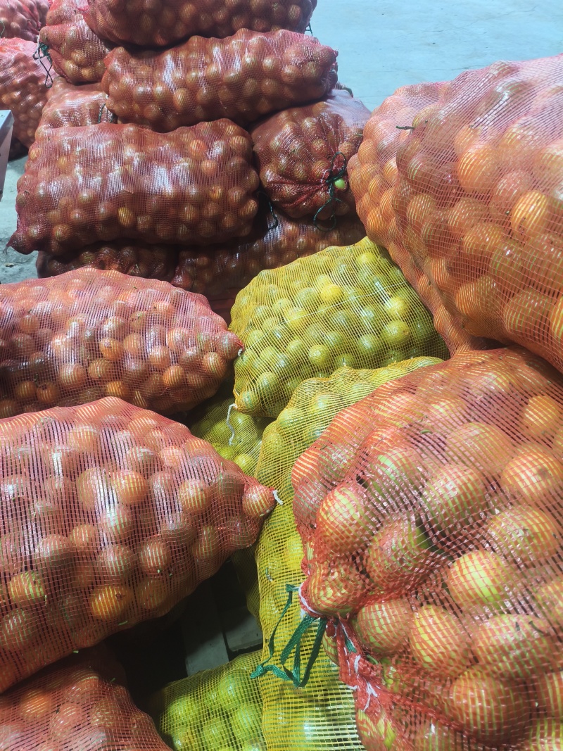 花浆果