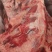 带肉牛胸骨