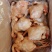 816肉食鸡9.5公斤5-6只83一件工厂直发