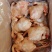 816肉食鸡9.5公斤5-6只83一件工厂直发