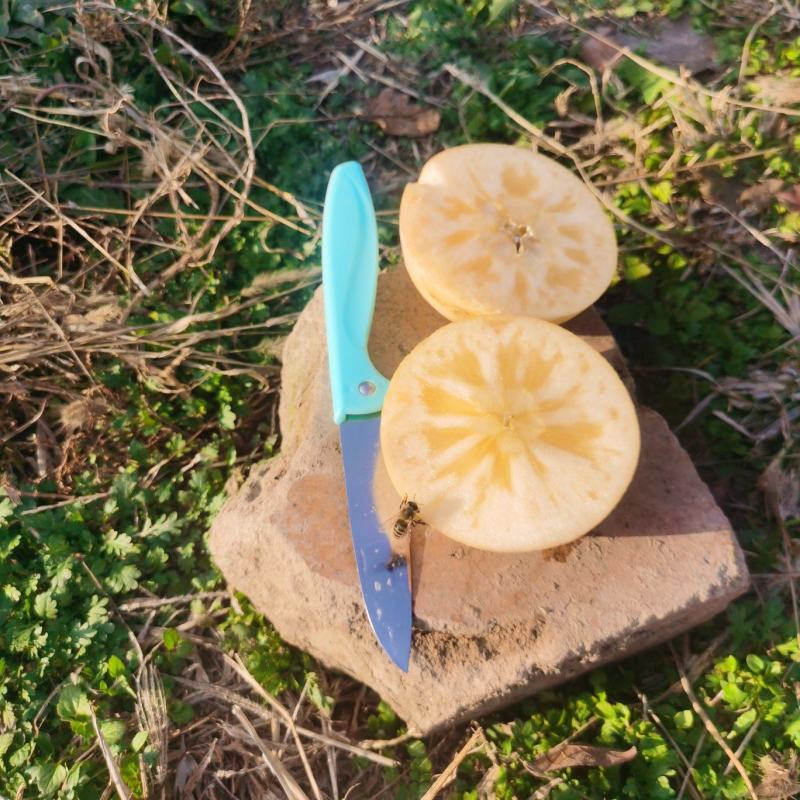山西冰糖心红富士苹果，大量上市，产地直发，品质保证