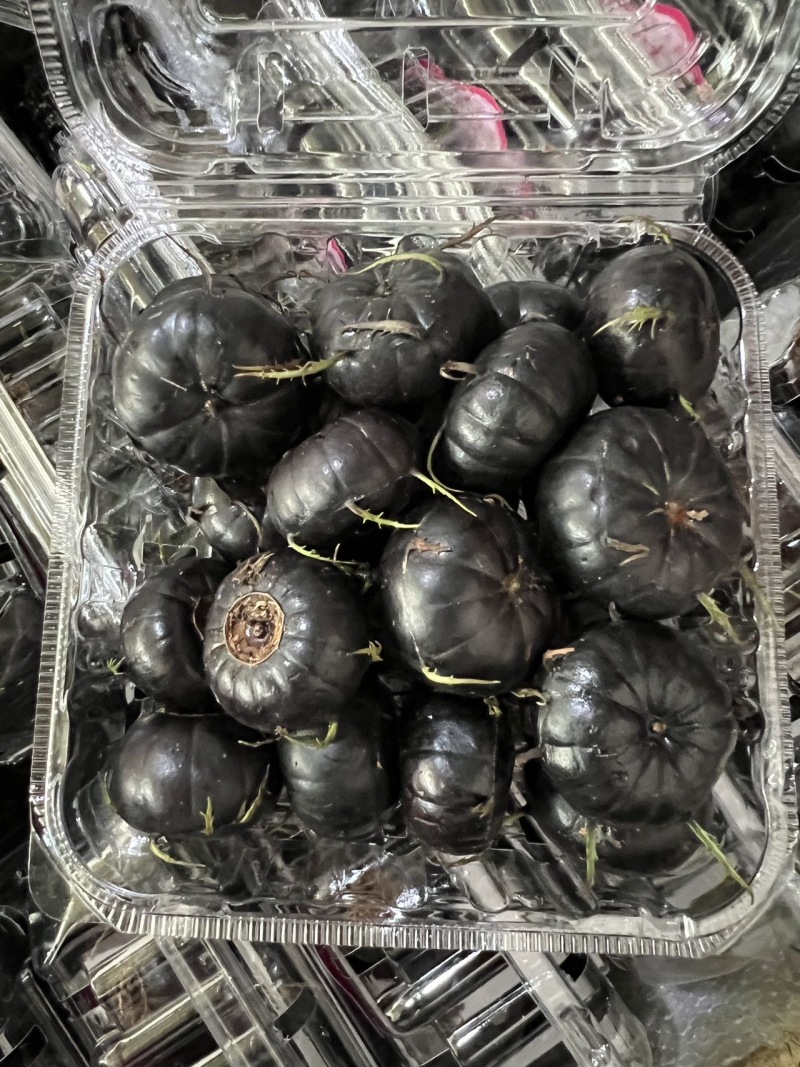 红果参