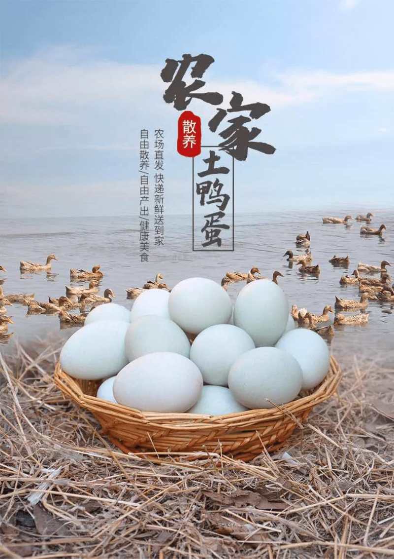 正宗微山湖散养麻鸭蛋土鸭蛋原生态红心鸭蛋0抗0激75g左右