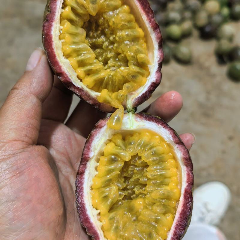 百香果