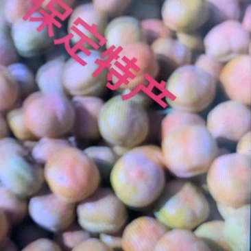 磨盘柿子