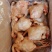 816肉食鸡9.5公斤/件(5-6只)