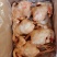 816肉食鸡9.5公斤/件(5-6只)