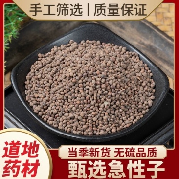 急性子中药材批发零售货真价实道地中药材正品
