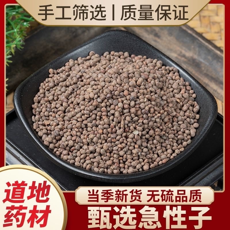 急性子中药材批发零售货真价实道地中药材正品