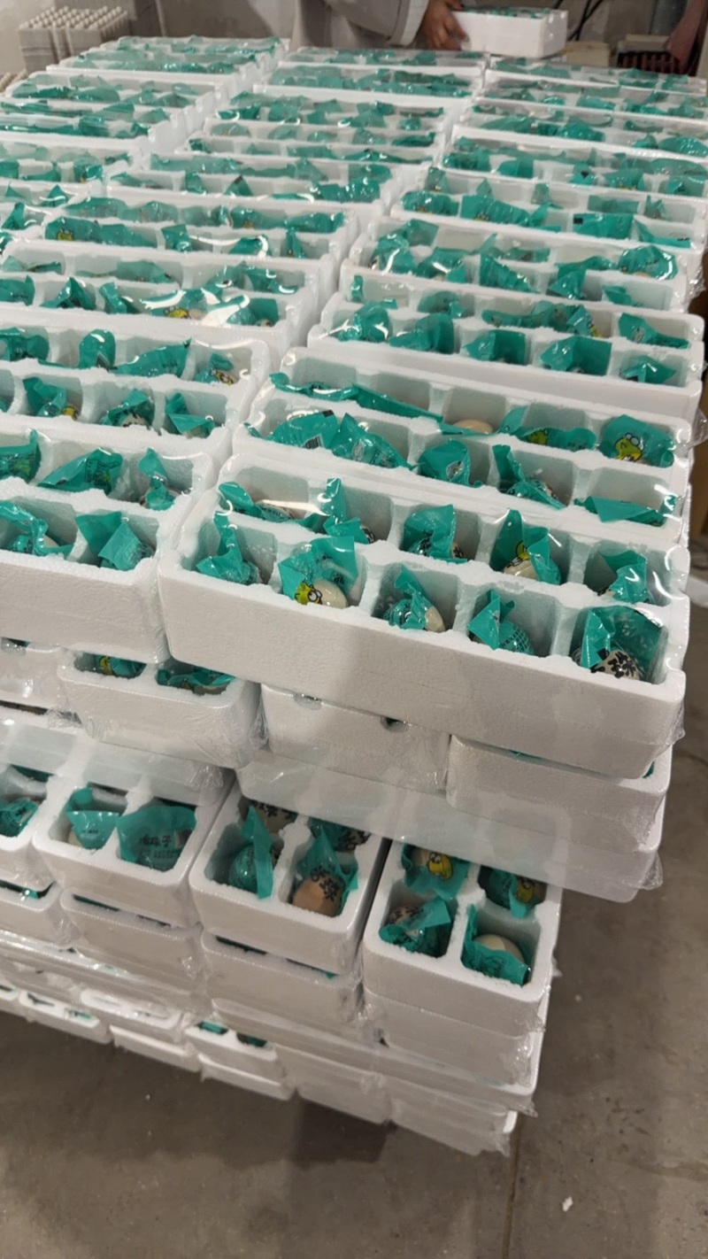 电商13天活珠子通货开袋即食独立真空包装