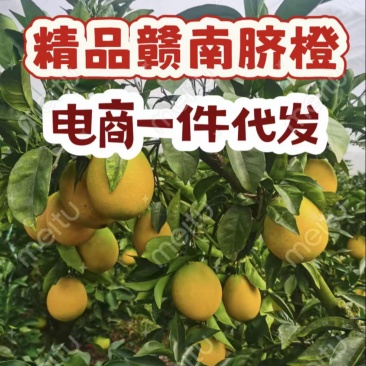 赣南脐橙电商一件代发