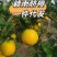 赣南脐橙电商一件代发